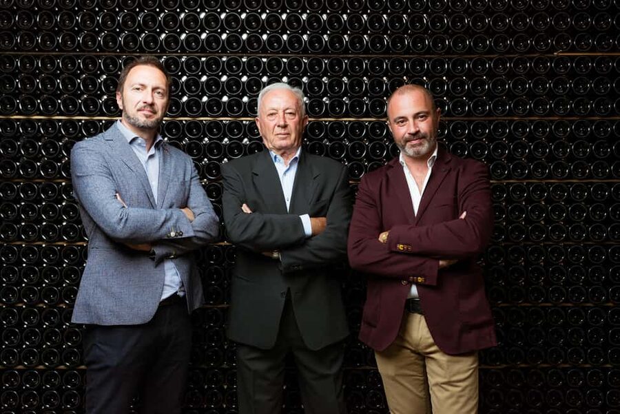 Franciacorta: visit the vineyard, cellar, and enjoy an Edea To tasting - Walking the Pinot Blanc collection vineyard