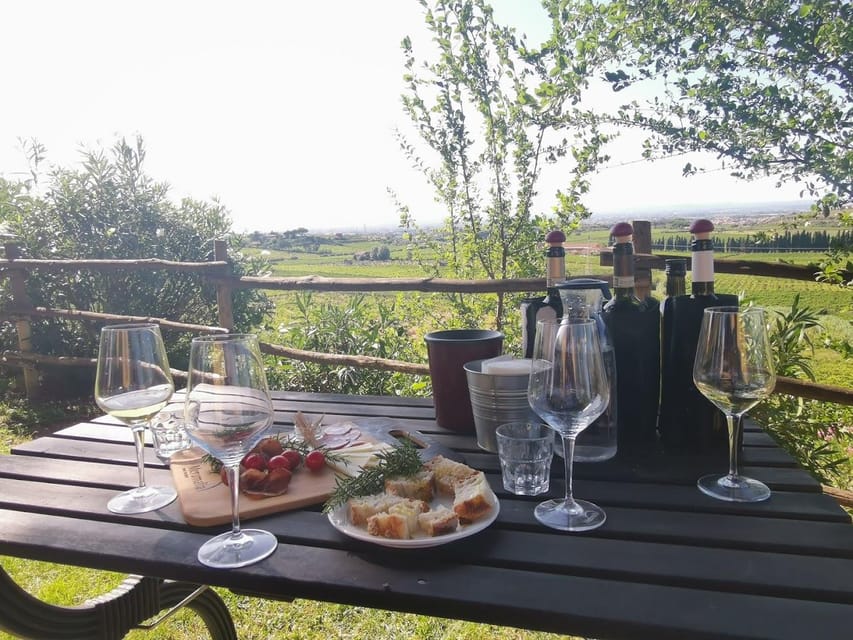 Frascati: 3-Hour Wine and Oil Tasting with Lunch/Dinner - Key points at a glance