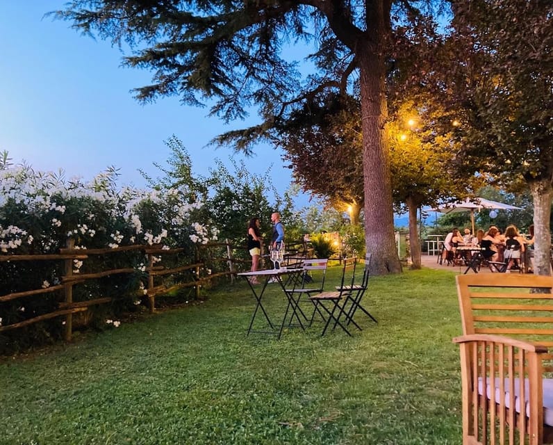 Frascati: 3-Hour Wine and Oil Tasting with Lunch/Dinner - Three wines, one olive oil, and a full meal