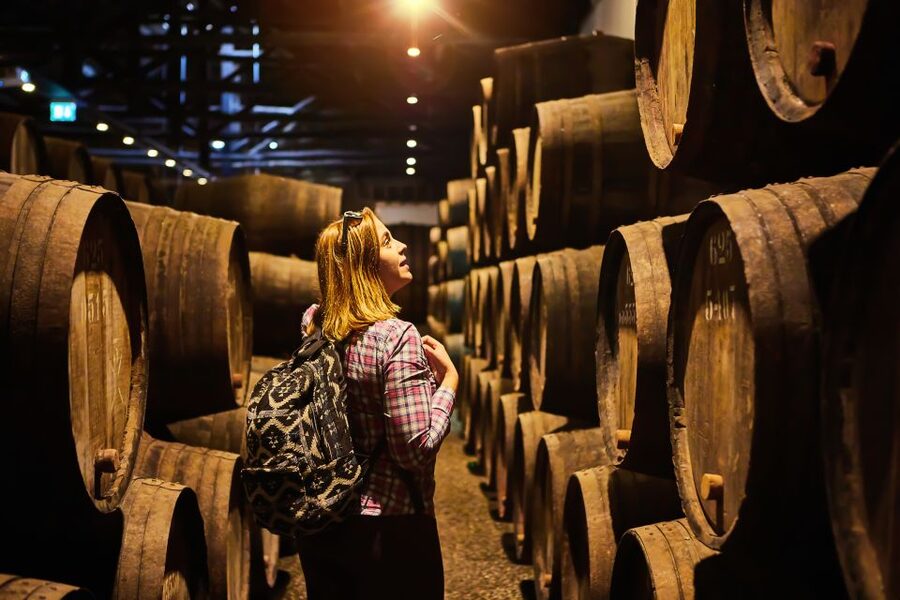 Frascati Private Tour w/ Lunch & Wine Tasting in a Vineyard - Is $279.81 per person good value?