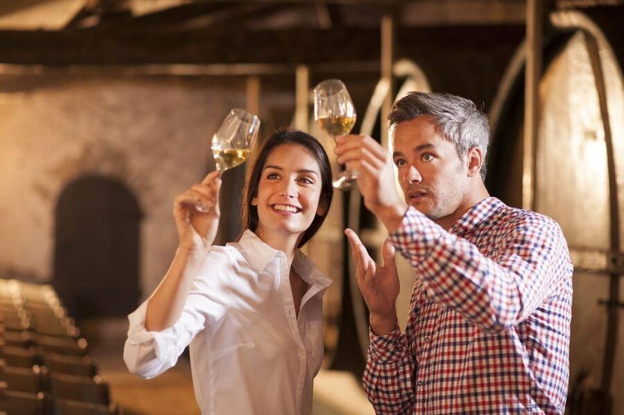 Frascati Private Tour w/ Lunch & Wine Tasting in a Vineyard - What the private format changes