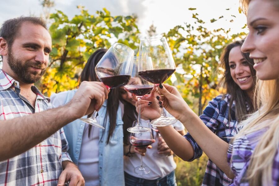 Frascati Private Tour w/ Lunch & Wine Tasting in a Vineyard - Timing, comfort, and accessibility