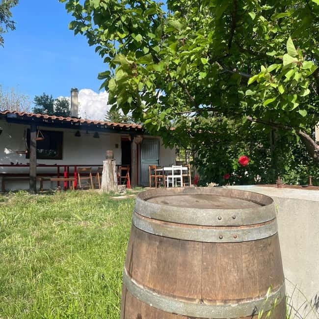 Frascati: Vineyard Wine Tasting Tour with Snacks - Practical planning for the train and vineyard