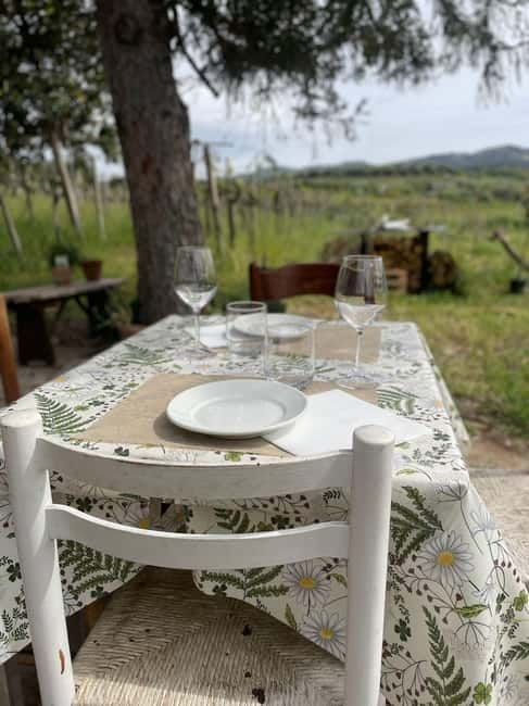 Frascati: Vineyard Wine Tasting Tour with Snacks - My take on the food, wine, and pace