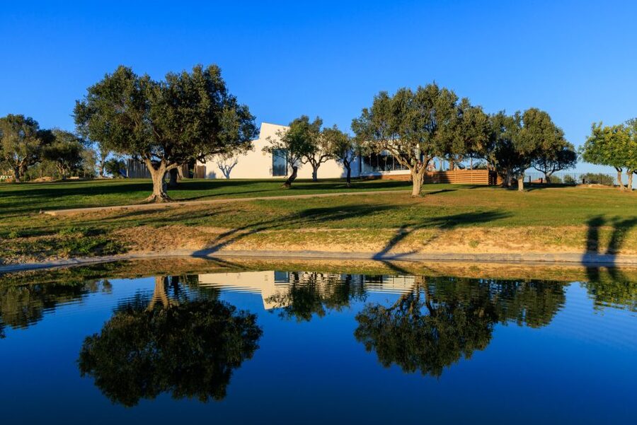 From Albufeira: 4x4 Off-Road Safari & Vineyard Wine Tasting - The winery visit and its four to five wines