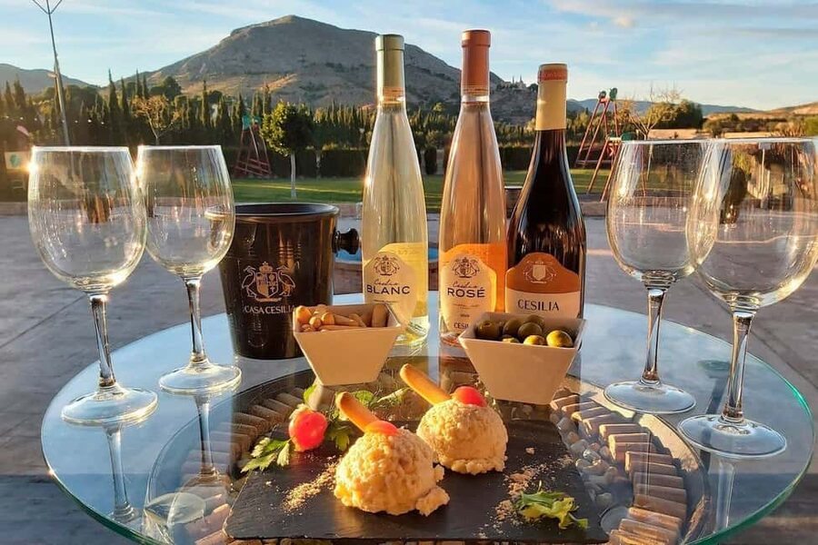 From Alicante and Elche: Guided tour for vineyard and winery with tasting - Inside the old house of the Marquises of La Romana