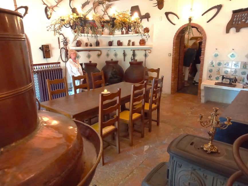 From Alicante and Elche: Guided tour for vineyard and winery with tasting - Three wines and simple local snacks