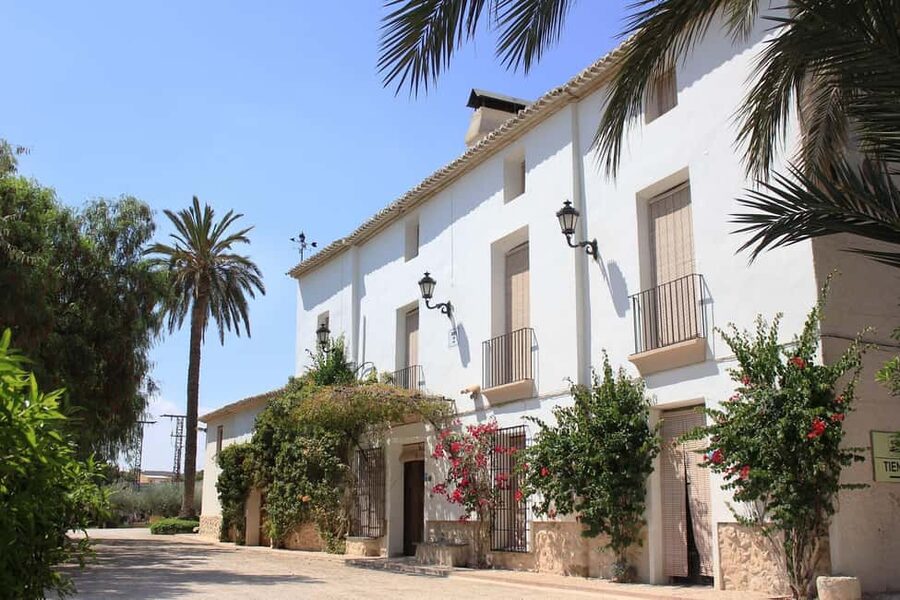 From Alicante and Elche: Guided tour for vineyard and winery with tasting - Staying for lunch in the winery restaurant