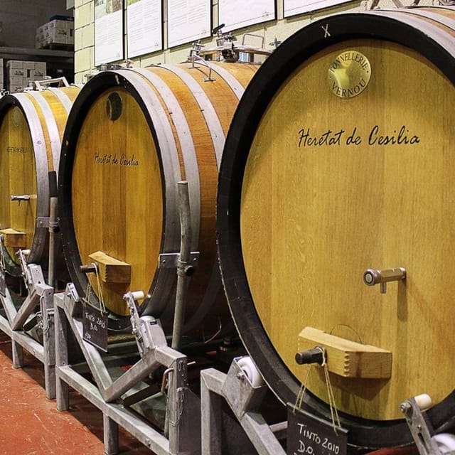 From Alicante and Elche: Guided tour for vineyard and winery with tasting - Is $64 a fair price?