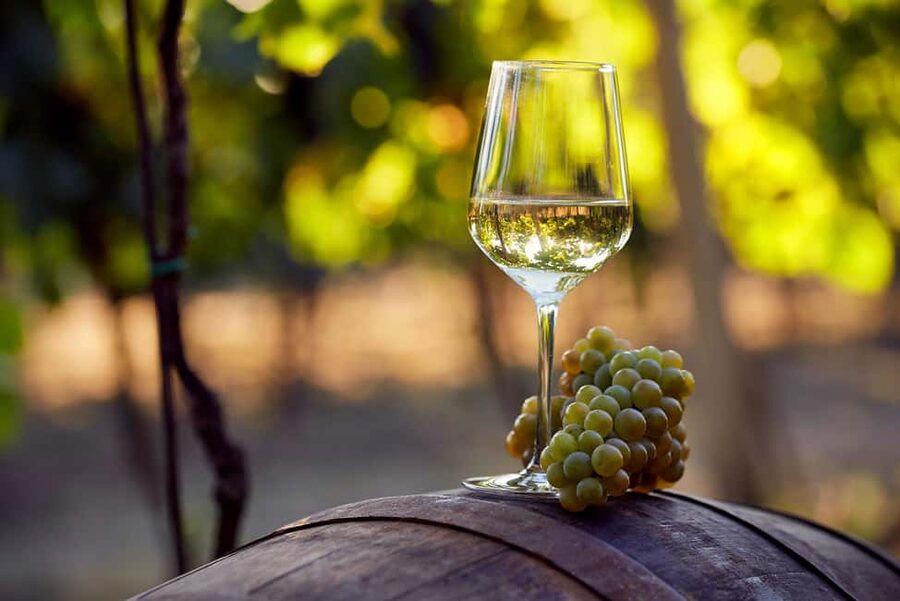 From Alicante and Elche: Guided tour for vineyard and winery with tasting - From Alicante or Elche to Novelda