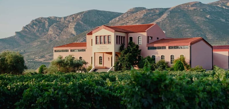 From Athens: Ancient Sparta and Nemea Wine Country Day Trip - The drivers shape the experience