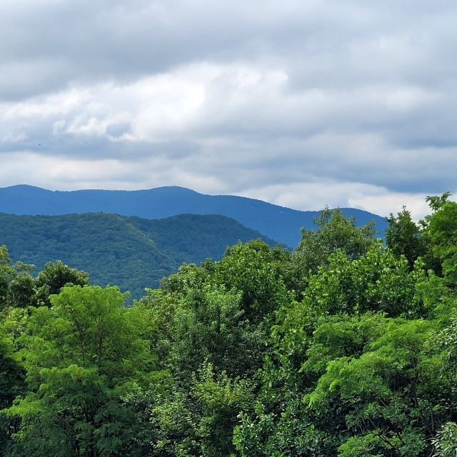 From Atlanta: Half-Day or Full-Day Wine Country Tasting Trip - Choosing between the five-and-a-half-hour and seven-and-a-half-hour plans