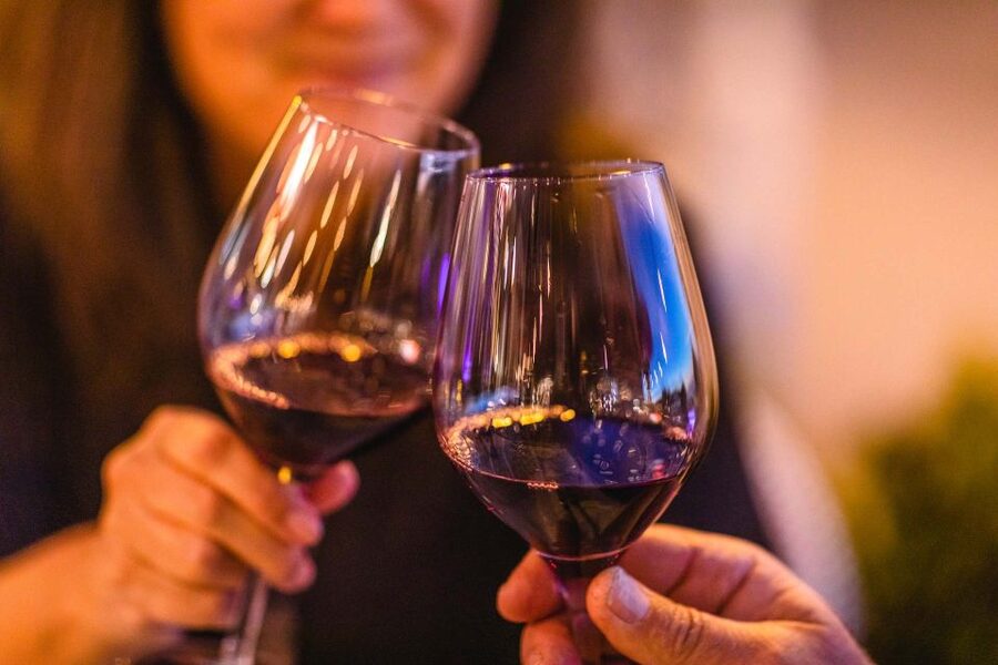 From Atlanta: Half-Day or Full-Day Wine Country Tasting Trip - Canoe Winery and the first taste of the region