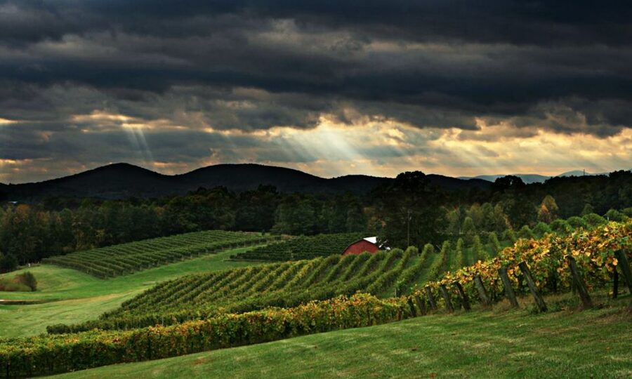 From Atlanta: North Georgia Wine Country Tour - Key points at a glance