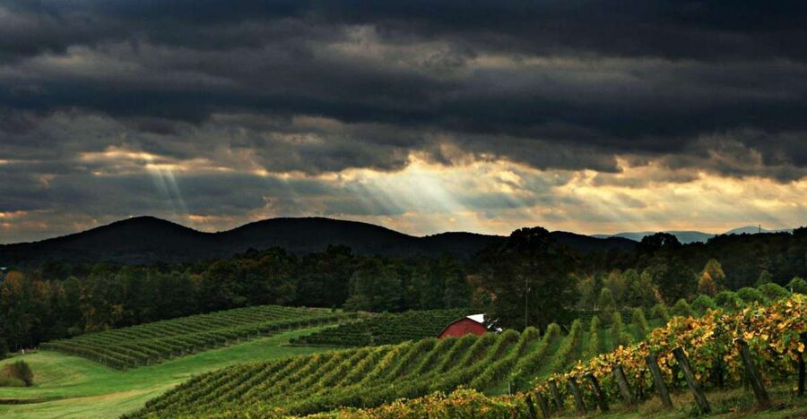 From Atlanta: North Georgia Wine Country Tour - Why this North Georgia wine tour works