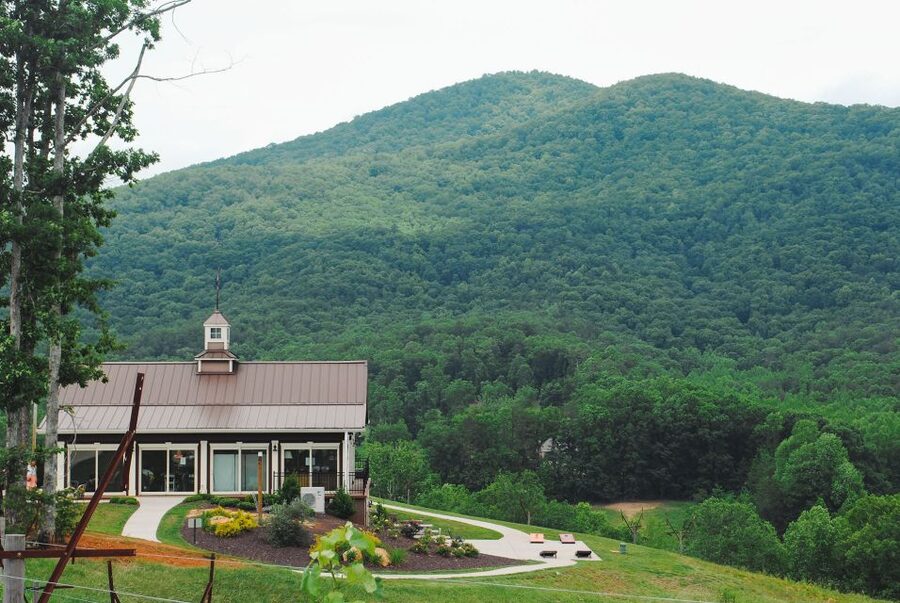 From Atlanta: North Georgia Wine Country Tour - The guide matters more than the script