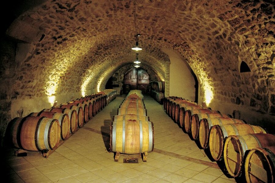 From Avignon: Half-Day Great Vineyards Tour - The guides make the difference