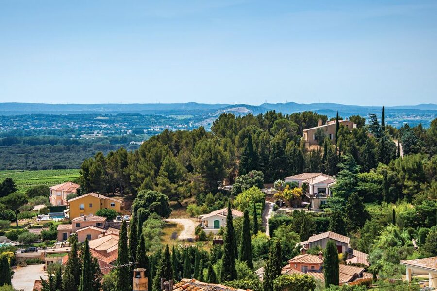 From Avignon: Half-Day Great Vineyards Tour - Is the small-group format worth it?