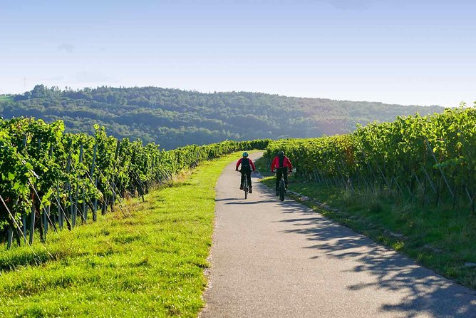 From Barcelona: E-Bike Tour in the vineyards with 2 Wineries - Riding through Catalonia’s Penedès wine country
