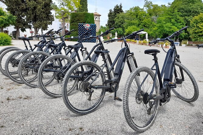 From Barcelona: E-Bike Tour in the vineyards with 2 Wineries - Can Descregut: the longer winery visit