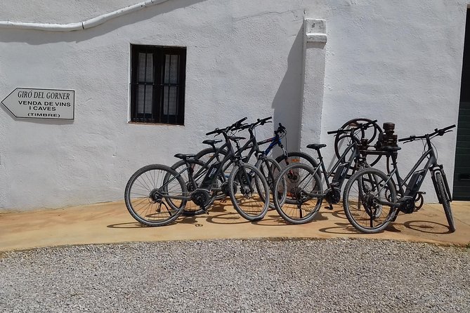 From Barcelona: E-Bike Tour in the vineyards with 2 Wineries - What $95.03 covers, and what it does not