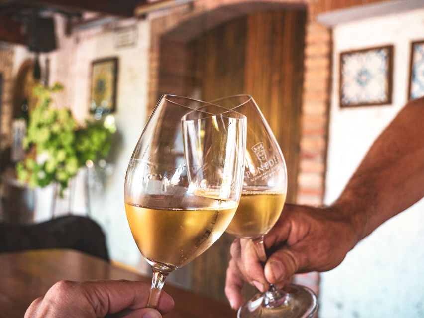 From Barcelona: Penedès E-Bike Tour with 2 Winery Visits - Is $94 a fair price?