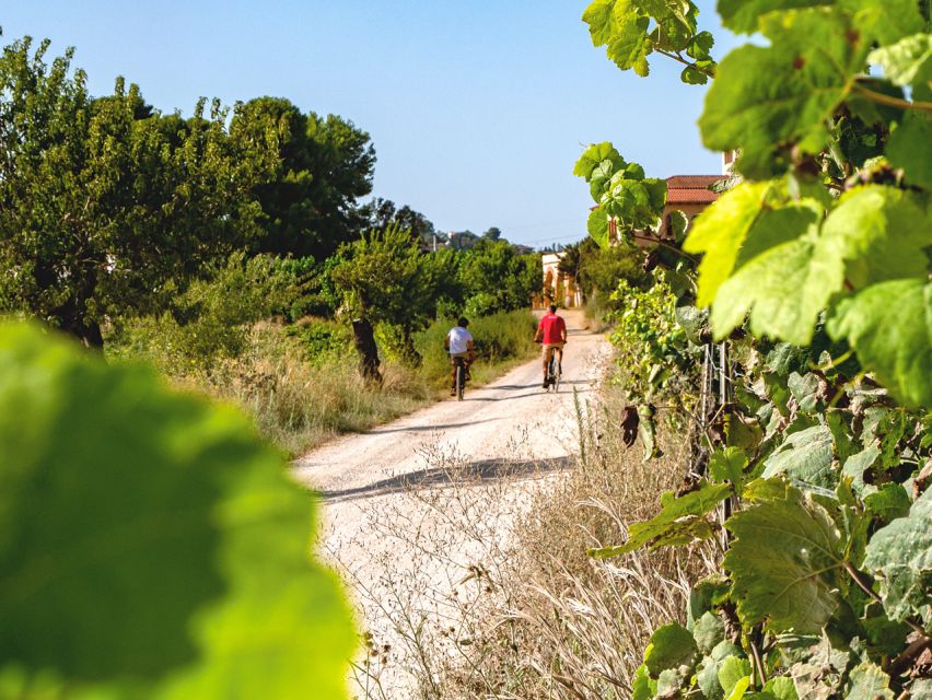 From Barcelona: Penedès E-Bike Tour with 2 Winery Visits - Picking up your Scott bike in Vilafranca