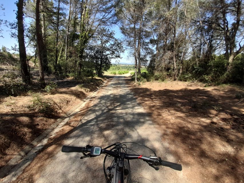 From Barcelona: Penedès E-Bike Tour with 2 Winery Visits - Riding beneath the view of Montserrat