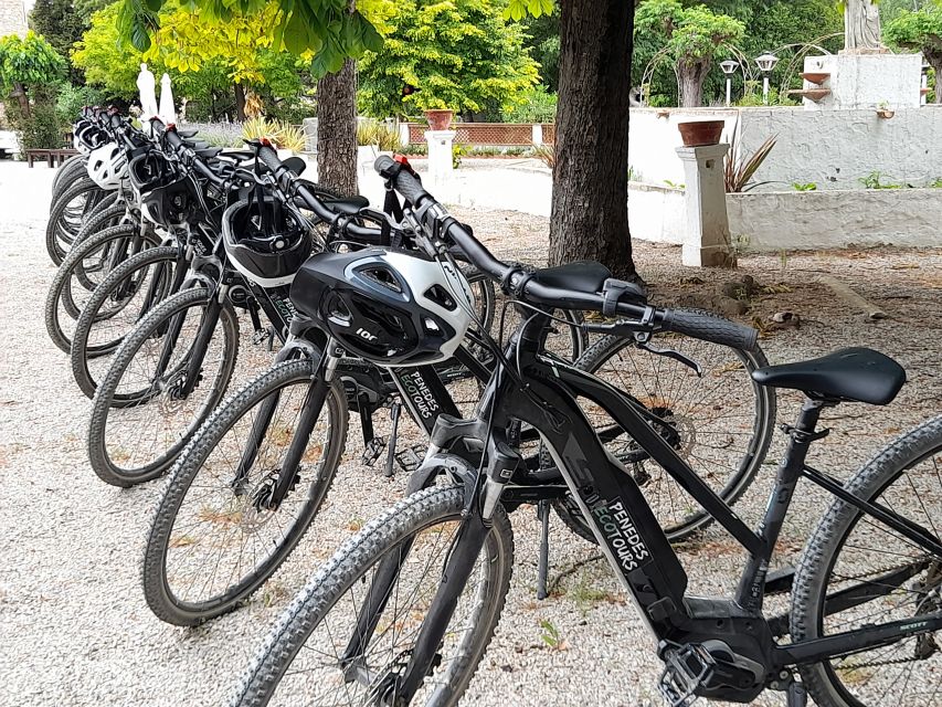 From Barcelona: Penedès E-Bike Tour with 2 Winery Visits - Returning to Vilafranca and Barcelona