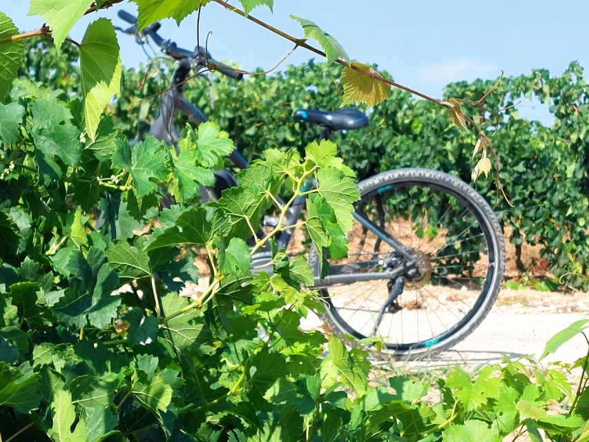From Barcelona: Penedès E-Bike Tour with 2 Winery Visits - Leaving Barcelona at Sants Station