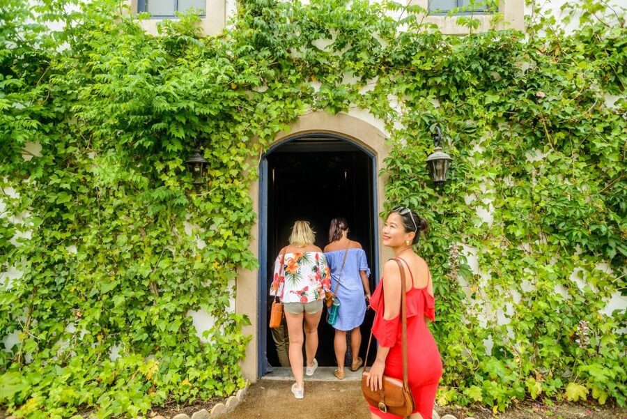 From Barcelona: Penedés Vineyards Tour by 4WD w/Wine & Cava - The 4x4 ride through 2,000-year-old vineyards