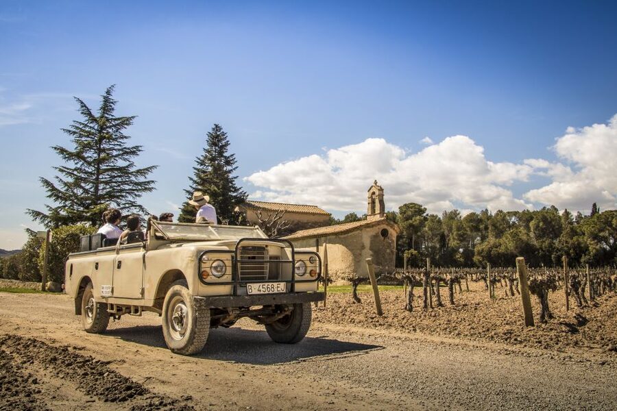 From Barcelona: Penedés Vineyards Tour by 4WD w/Wine & Cava - Pere Ventura and the cellars of cava