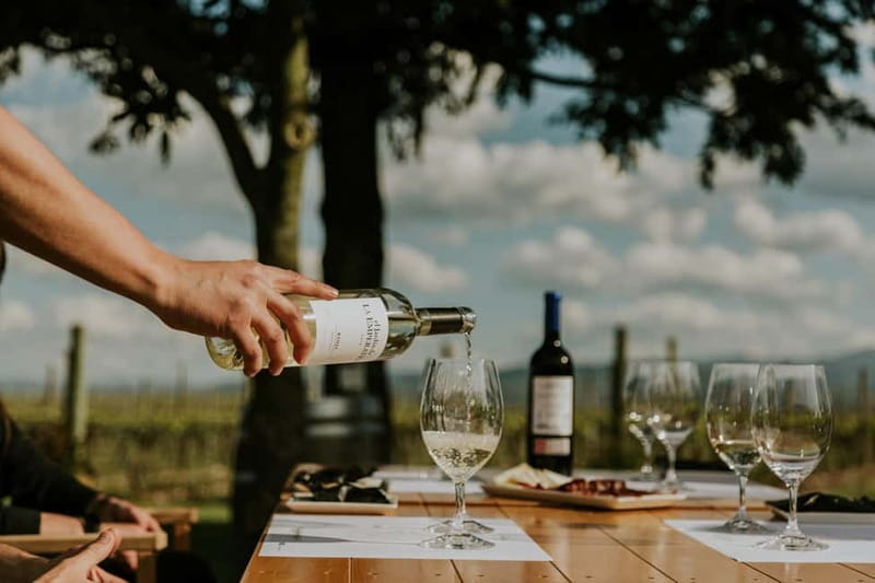 From Bilbao: La Rioja a journey to the vineyards & tradition - Why this Rioja day trip works from Bilbao