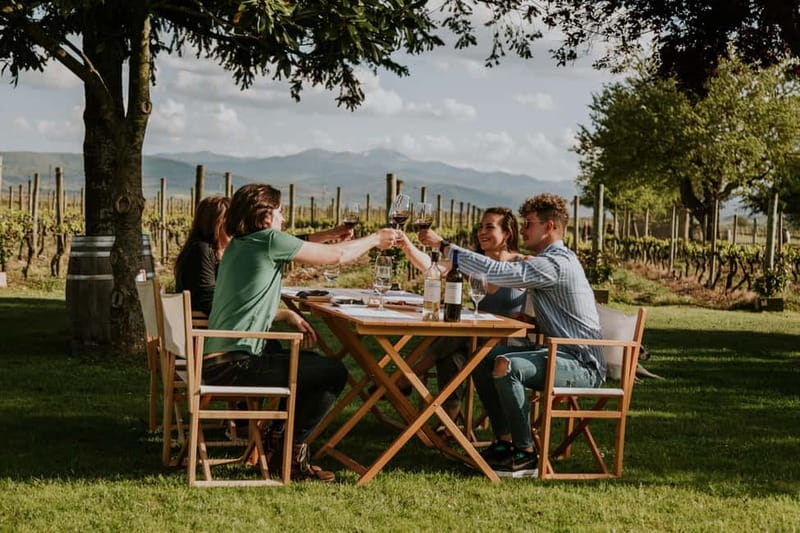 From Bilbao: La Rioja a journey to the vineyards & tradition - The first winery, vineyards and a look at winemaking