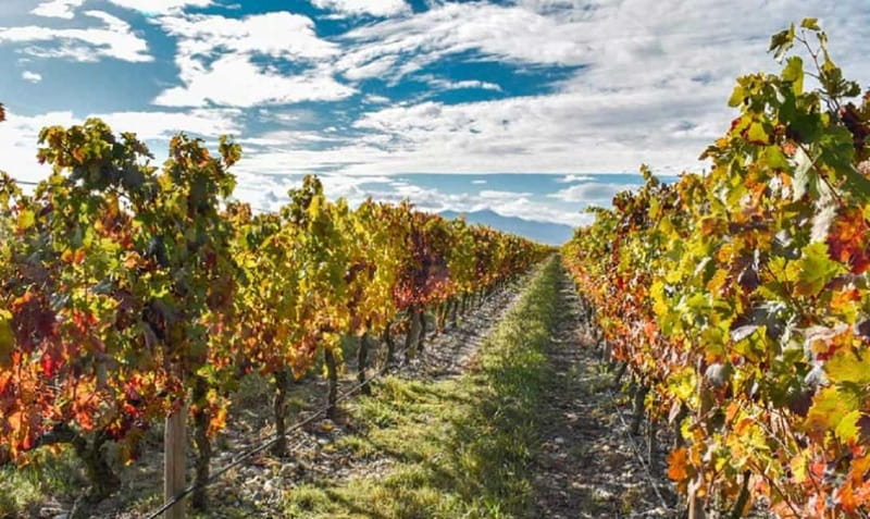 From Bilbao: La Rioja a journey to the vineyards & tradition - Who will enjoy this tour most