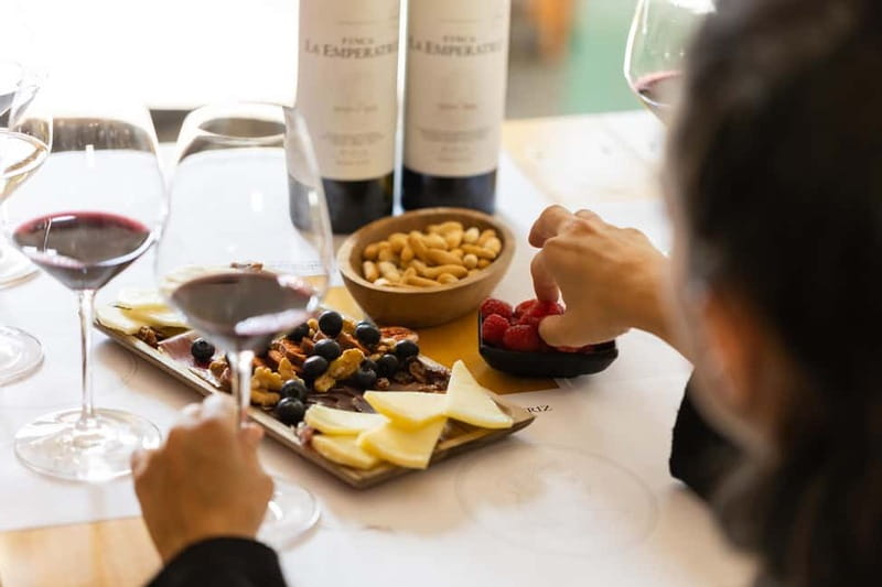 From Bilbao: La Rioja a journey to the vineyards & tradition - Meeting the group outside Bilbao hotels