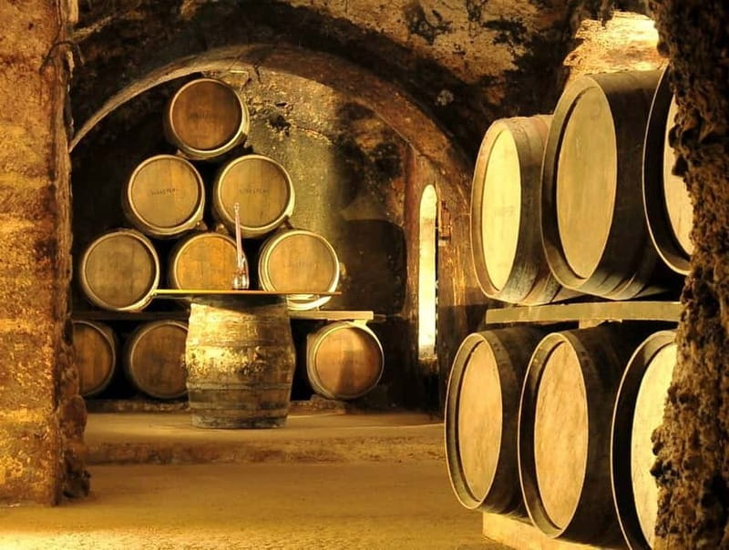 From Bilbao: Rioja Wine Region with Winery & Vitoria-Gasteiz - From Bilbao to Rioja’s vineyard country