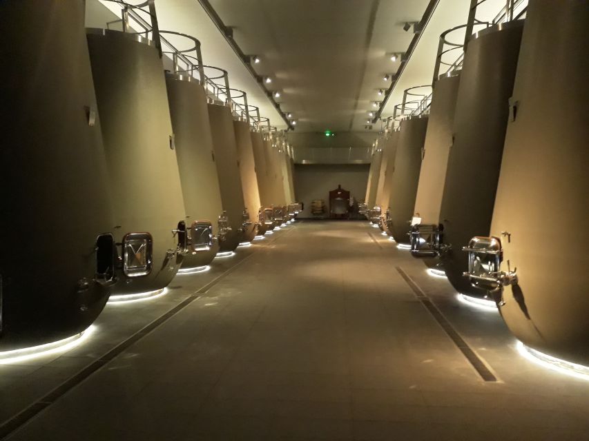 From Bordeaux: Médoc Vineyard and Chateau Tour by Sidecar - Should you book the Médoc sidecar tour?