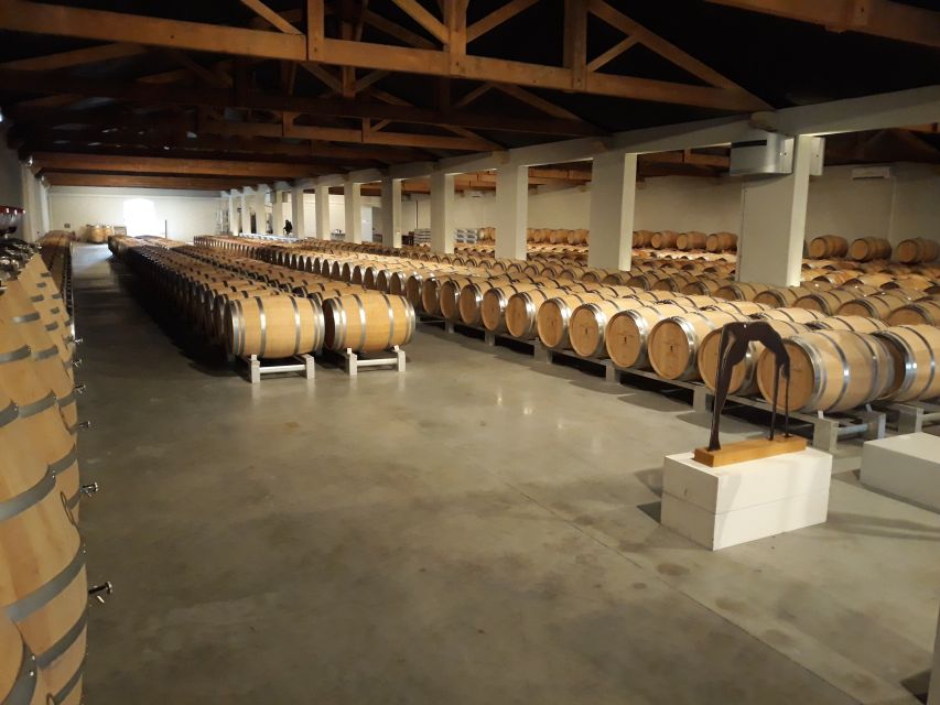 From Bordeaux: Médoc Vineyard and Chateau Tour by Sidecar - Seeing Margaux at a slower pace