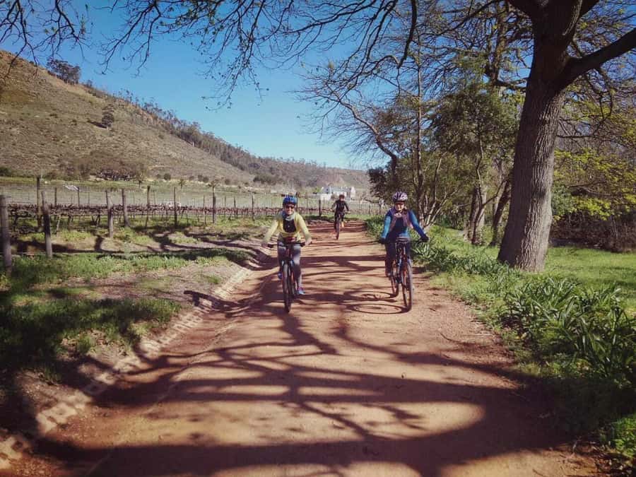 From Cape Town: Franschhoek Vineyards Bike Tour with Lunch - Why Cycling Makes Franschhoek Special