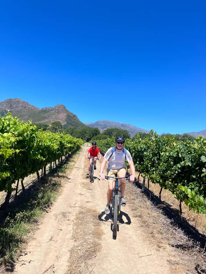 From Cape Town: Franschhoek Vineyards Bike Tour with Lunch - First Wine Estate: A Gentle Introduction