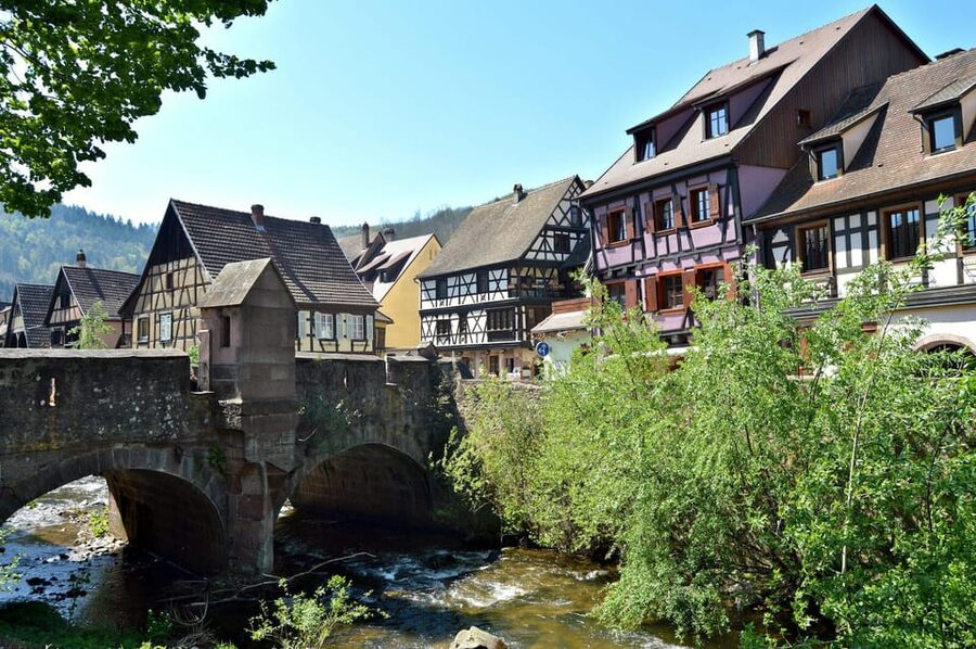 From Colmar: Alsace wine route tour Half Day - Who will enjoy this half-day outing?