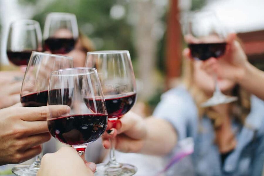 From Dijon: Côte de Nuits & Côte de Beaune Vineyards Tour - Why this route works for a first Burgundy wine day