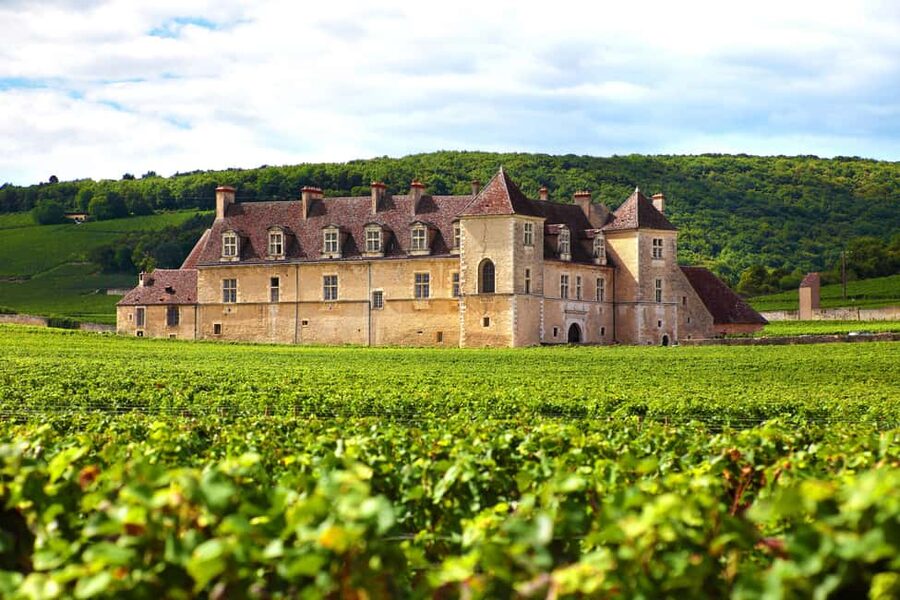 From Dijon: Côte de Nuits & Côte de Beaune Vineyards Tour - Beaune: a proper break in the middle of the day