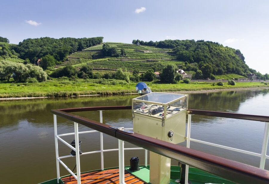 From Dresden: Saxon Wine Route Steamer Day Cruise - From Dresden’s old town to the Saxon vineyards