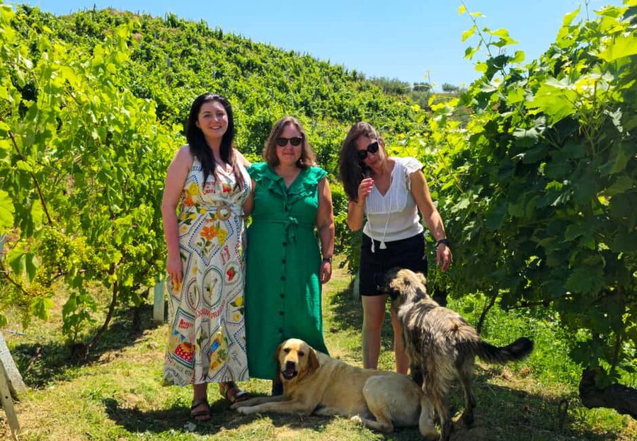 From Durrës: Albanian Wine Tasting with Vineyard & Boat Tour - Starting with Albanian spirits and local bites