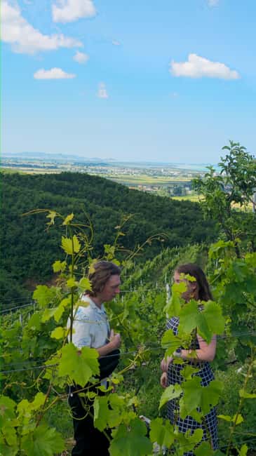 From Durrës: Albanian Wine Tasting with Vineyard & Boat Tour - What the guide adds to the day