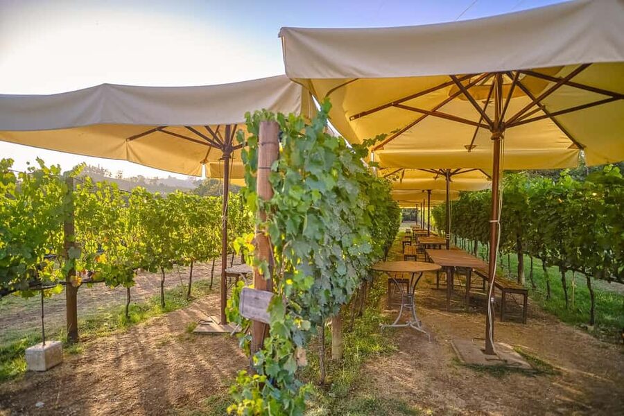 From Florence: Wine Tasting and Dinner in Chianti Vineyards - Leaving Florence for Chianti wine country