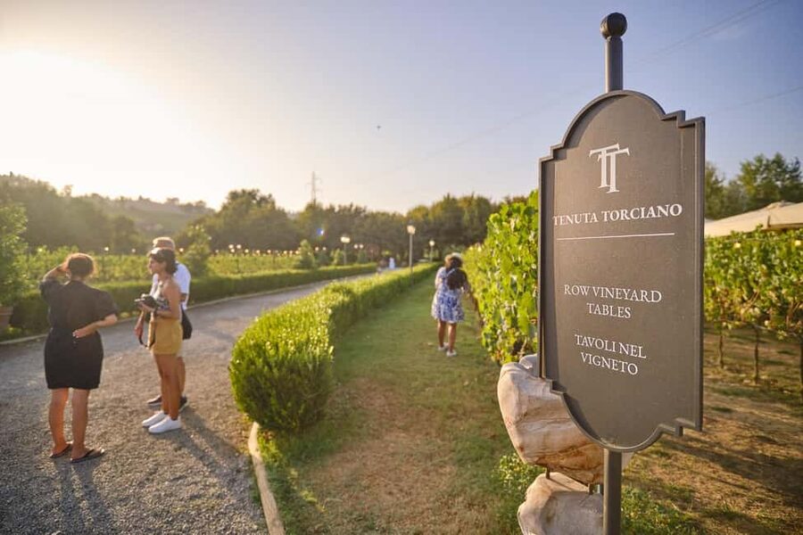 From Florence: Wine Tasting and Dinner in Chianti Vineyards - A short village pause in Greve