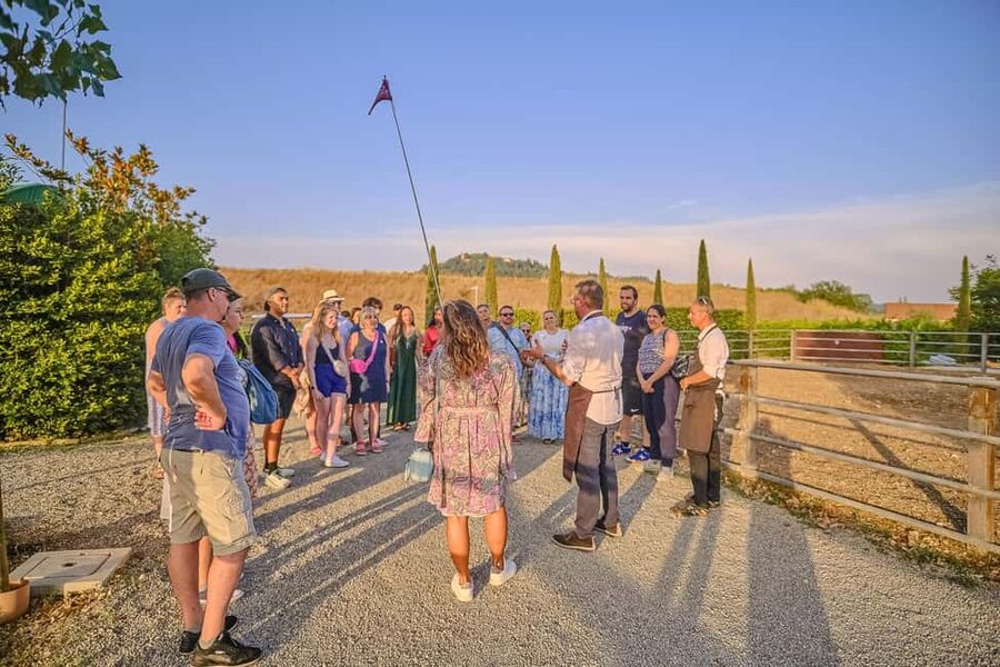 From Florence: Wine Tasting and Dinner in Chianti Vineyards - Dinner among the vines as the light fades